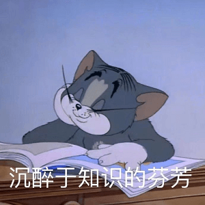 南风知我意